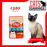 CIAO Creamy Soup Tuna Maguro, Chicken Fillet & Shirasu Cat Wet Food 40g X 16 Pouch