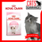 Royal Canin Feline Second Age Kitten Cat Dry Food 400g