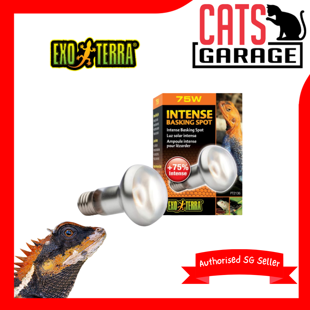 Exo Terra Intense Basking Spot Lamp S20 75w