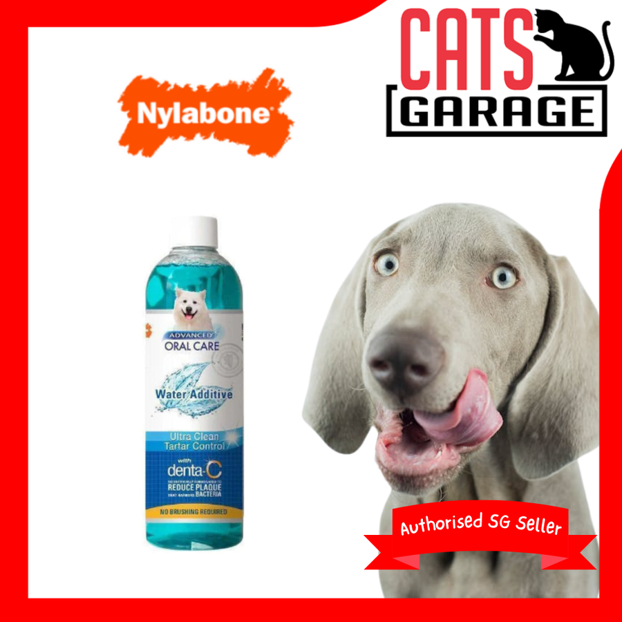Nylabone Oral Care Water Additive Dental Care for Dogs 16oz