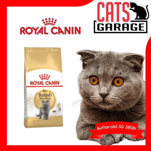 Royal Canin Feline Adult British Shorthair Cat Dry & Wet Food