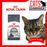 Royal Canin Feline Oral Care Cat Dry Food - 1.5kg, 3.5kg
