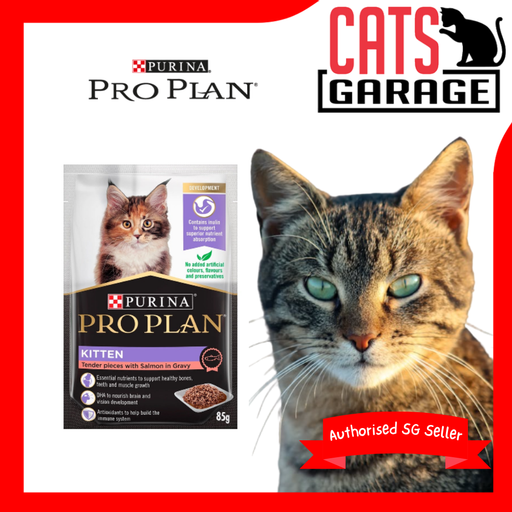 Purina Pro Plan Feline Kitten Salmon In Gravy Pouch Wet Cat Food 85g X12