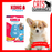 KONG Puppy Interactive Toy Blue (4 Sizes)