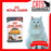 Royal Canin Feline Pouch Intense Beauty Cat Wet Food  85g X12