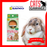 Wild Sanko Slicker Brush For Rabbit
