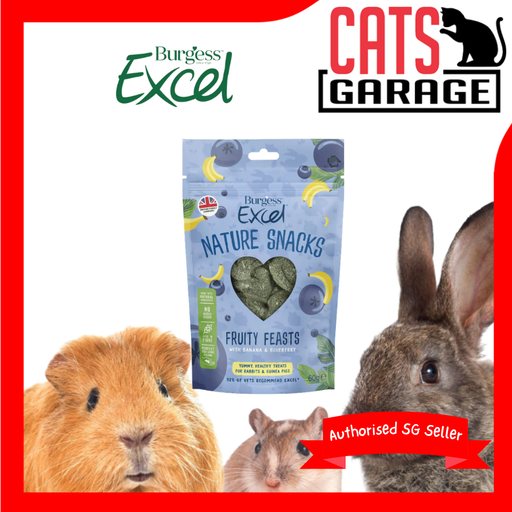 Burgess Excel Nature Snacks Fruity Feasts Treats For Rabbits & Guinea Pigs 60g