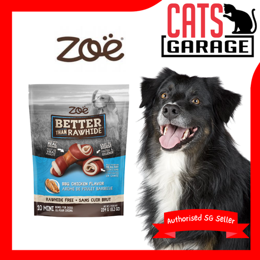Zoë Better Than Rawhide BBQ Chicken Flavor 10 Mini Bones Dog Treats 234g