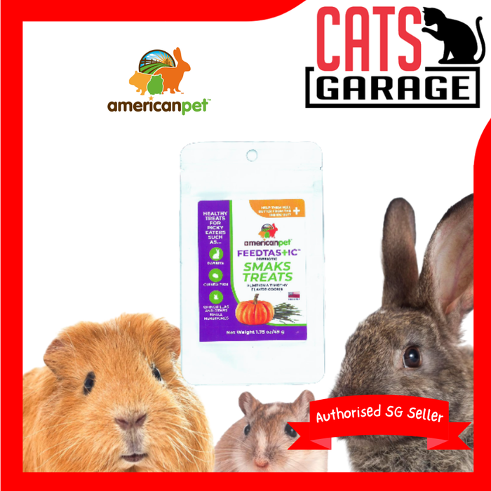 American Pet Feedtastic Prebiotic Smaks Treats Pumpkin & Timothy Flavour Cookies 49g