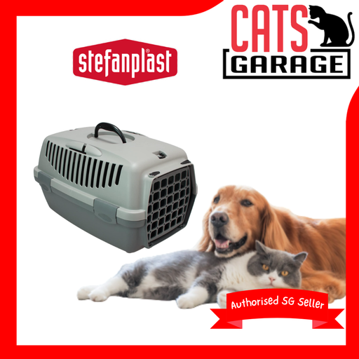 Stefanplast Gulliver Recycled Plastic Eco Green (3 Sizes)