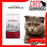 Diamond Naturals Indoor Dry Cat Food (2 Sizes)