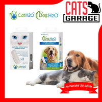 Cat H2O