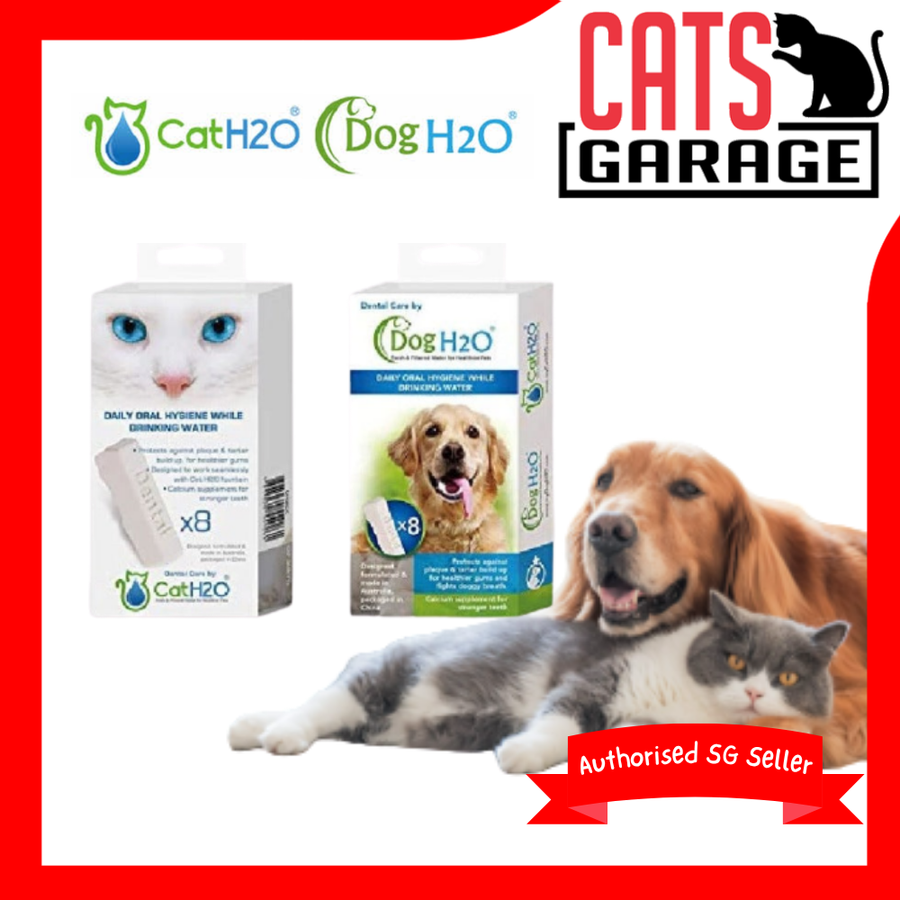 Cat H2O Daily Oral Hygiene Dental Care Cartridge