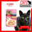 CIAO Grilled Kitten Tuna Flakes With Sliced Bonito & Scallop In Jelly Grain Free 50g X 16 Pouch