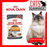 Royal Canin Feline Pouch Urinary Care Cat Wet Food 85g X12