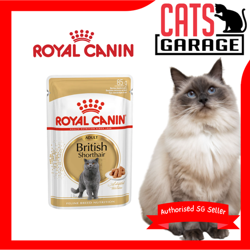 Royal Canin Feline Pouch British Shorthair Adult Cat Wet Food 85g X12