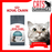 Royal Canin Feline Hairball Care Cat Dry Food (2 Sizes)
