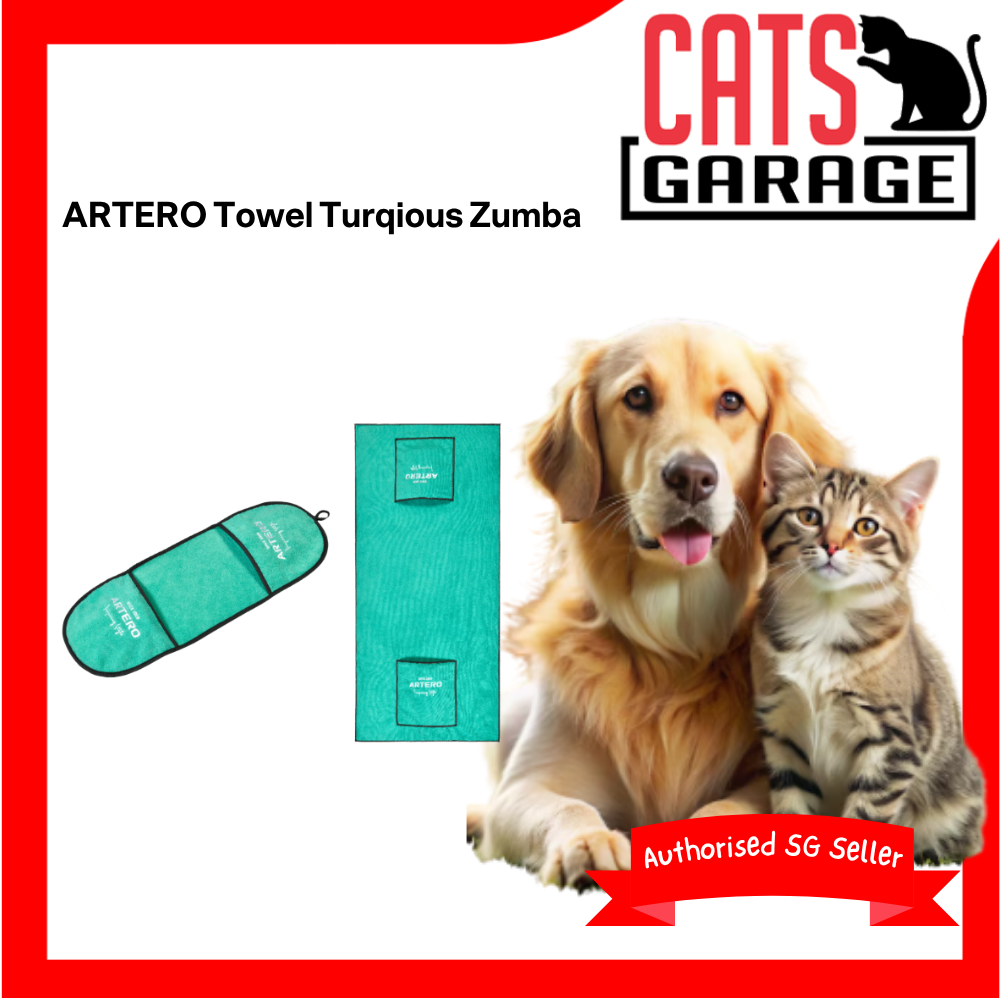 ARTERO Towel Turqious Zumba