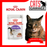 Royal Canin Feline Pouch Sterilised Cat Wet Food  in Gravy 85g X12