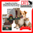 DoggyMan CattyMan Natural Style Grooming Wooden Comb and Brush for Cats and Dogs