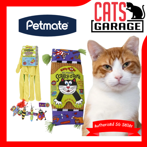 Petmate Assorted Scratch & Catnip Bite Toys for Cats