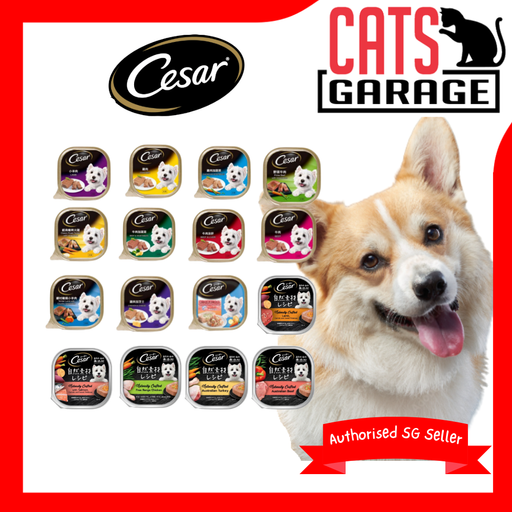 ⚡ BESTSELLER Cesar Wet Dog Food 85g | 16 Flavours Mix & Match 🐶 Super Tasty – Dogs Can’t Resist!