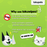 Tokupets Premium Pet Wet Wipes 100pcs 15cm x 20cm  | Antibacterial Deodorising Wet Tissue for Cat Dog Animal