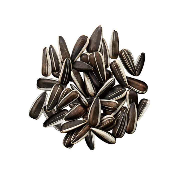 Marukan Sunflower Seeds for Hamster 200g