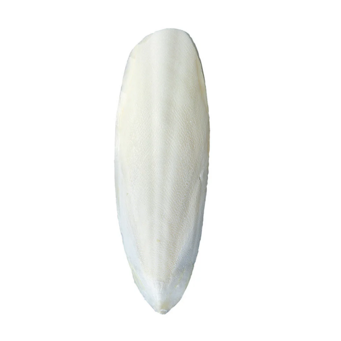 Marukan Cuttlebone for Birds