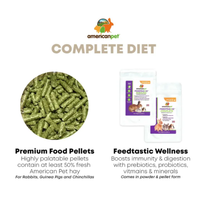 American Pet Feedtastic Prebiotic Smaks Treats Pumpkin & Timothy Flavour Cookies 49g