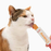 Catit Creamy Lickable Cat Treats Chicken & Liver 5x15g