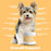 Altimate Pet 12 In 1 Multivitamin Dog Supplement Chews 250g