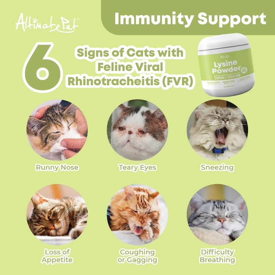 Altimate Pet Lysine Powder Supplement For Cats 200g