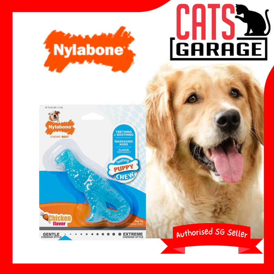 Nylabone Teething Puppy Chew Dental Dinosaur Chicken Flavor