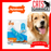 Nylabone Teething Puppy Chew Dental Dinosaur Chicken Flavor