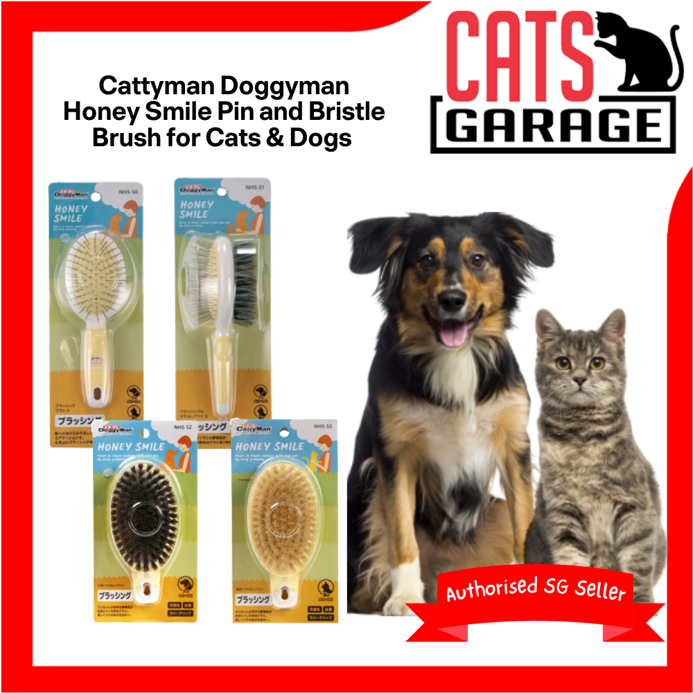 Cattyman DoggyMan Honey Smile Grooming Pin & Bristle Brush for Cats & Dogs