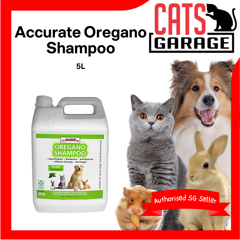 Accurate Oregano Shampoo 5L