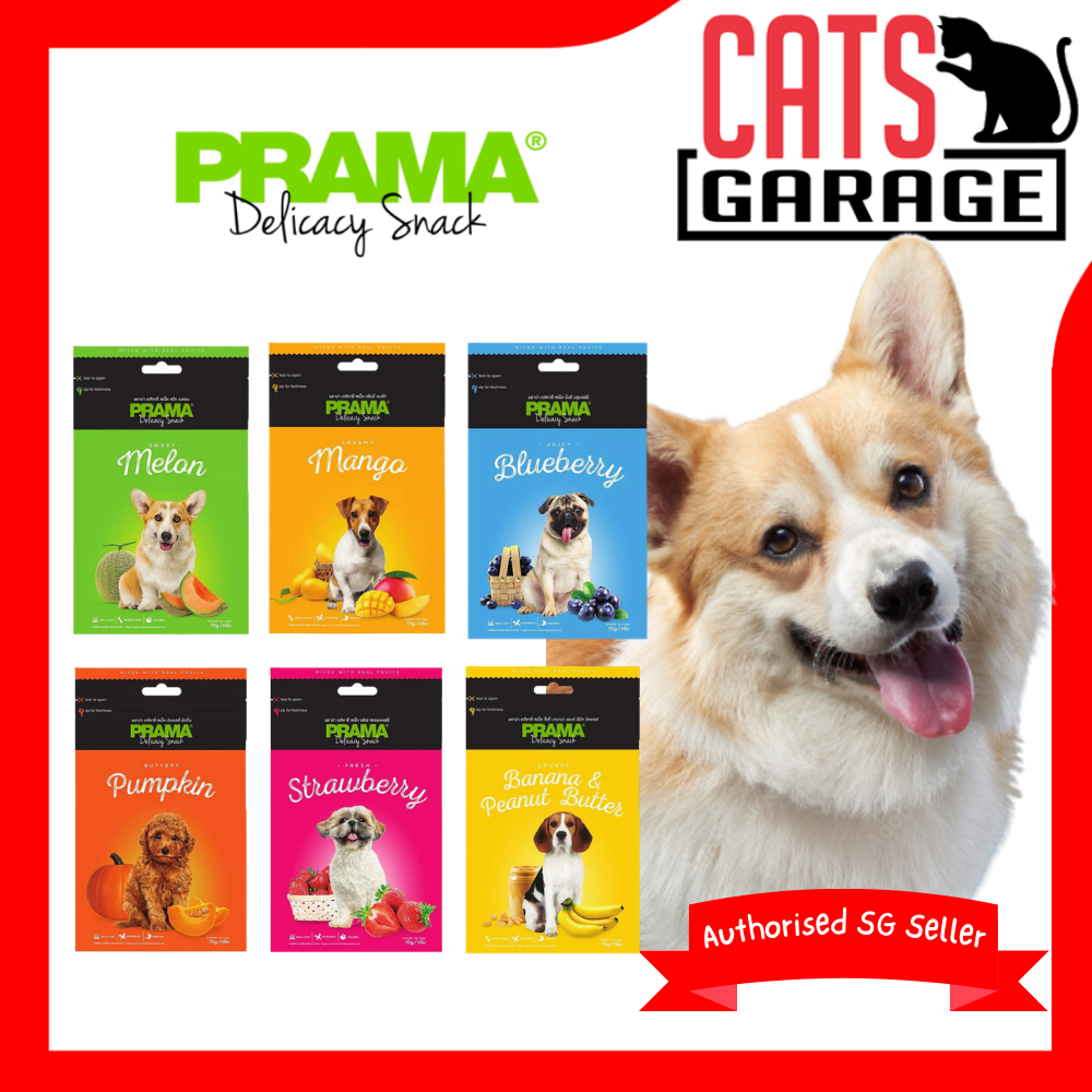 PRAMA Delicacy Snack Classic Fruits Dog Treats 70g
