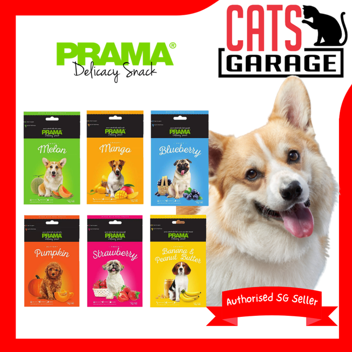 PRAMA Delicacy Snack Classic Fruits Dog Treats 70g