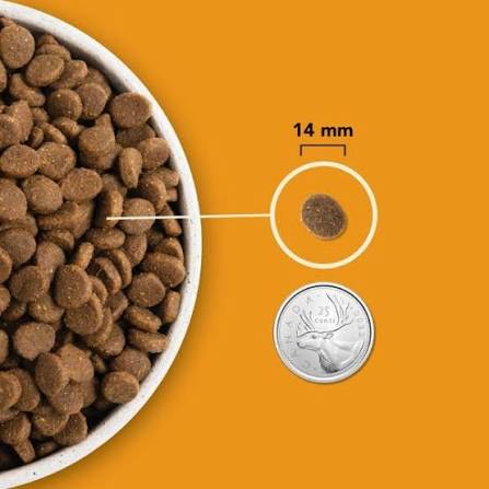 ACANA Wild Prairie Dry Cat Food | Chicken & Turkey Recipe Cat Kibble Adult Cats Grain Free Rich Animal Ingredients