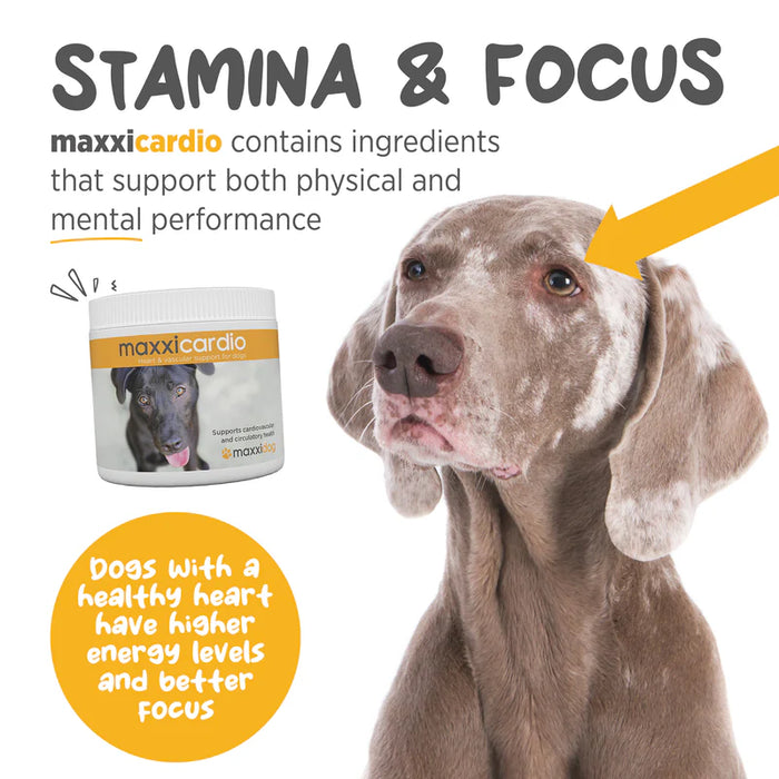 MaxxiPaws  MaxxiCardio for dogs 90g