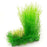 Nisso Aquatic Little Garden 1