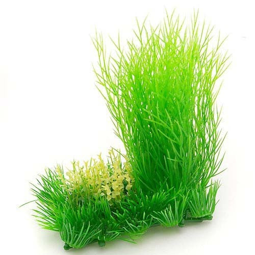 Nisso Aquatic Little Garden 1