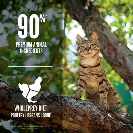 ORIJEN Guardian 8 Freeze-Dried Infused Cat Food | Adult Cat Kibble Grain Free WholePrey Recipe Complete Nutrition