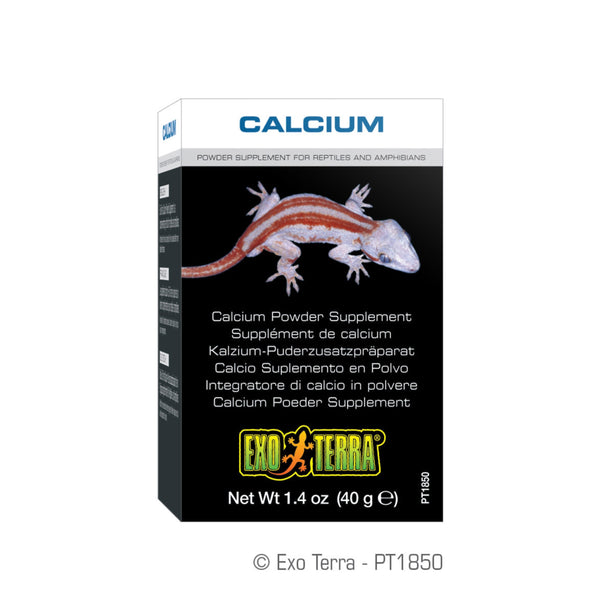 Exo Terra Calcium Powder Supplement 40g