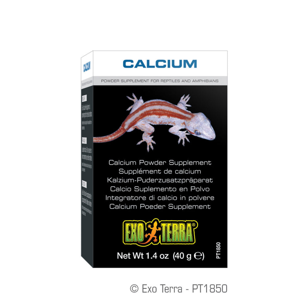 Exo Terra Calcium Powder Supplement 40g