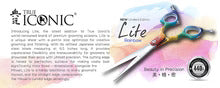 True Iconic Lite Rainbow Straight Shear Lenght 6.5"