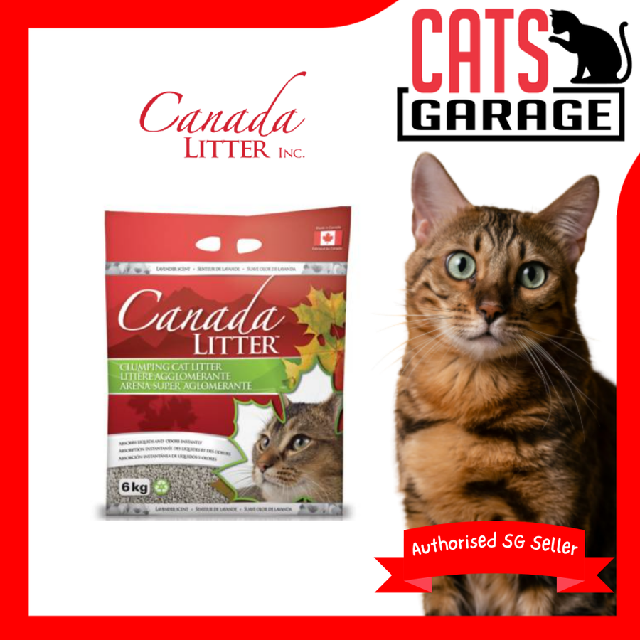 Canada Litter Clumping Clay Baby Powder 8kg