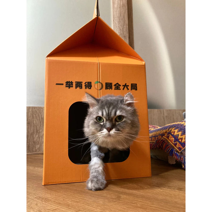 Cat Scratcher House Box