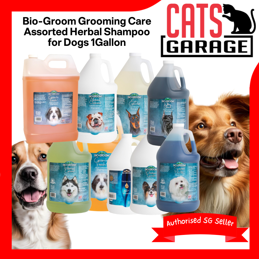 Bio-Groom Grooming Care Assorted Herbal Shampoo for Dogs 1 Gallon